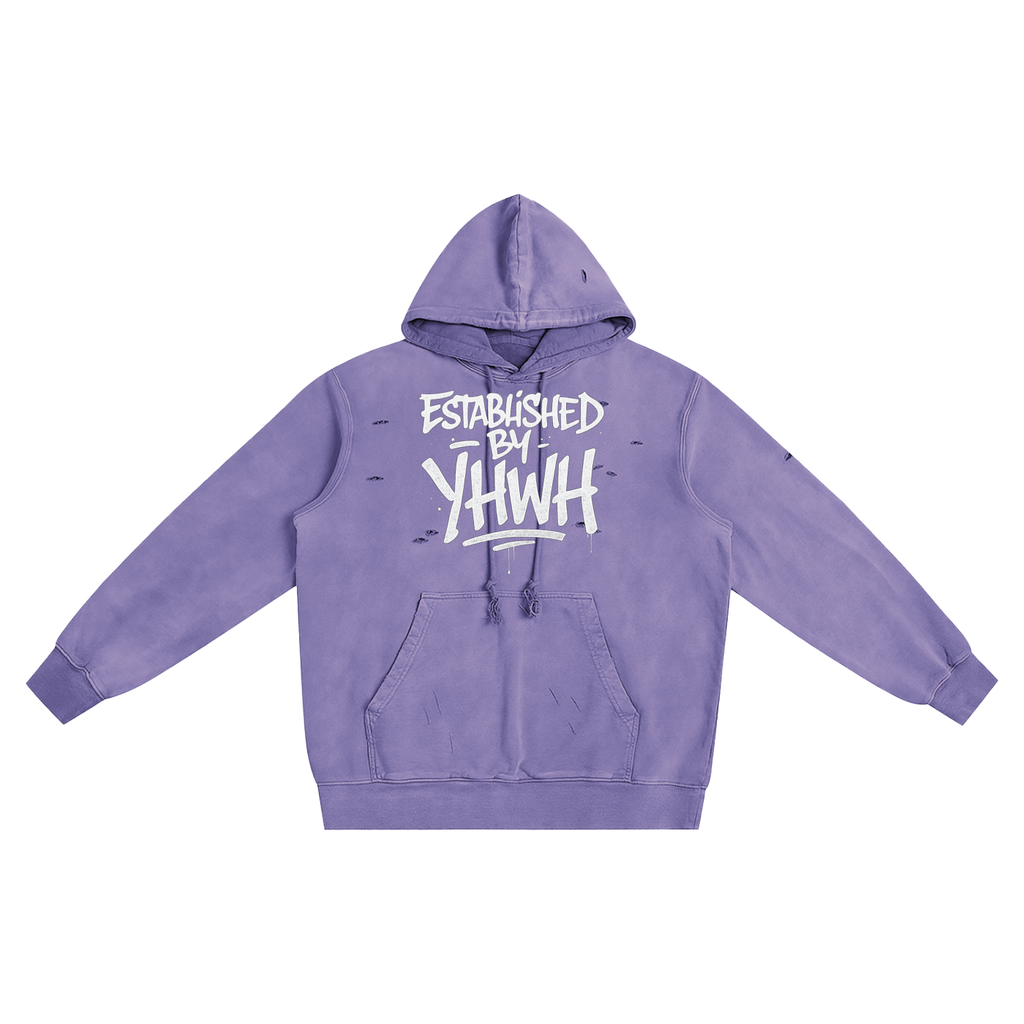 Predestined Hoodie