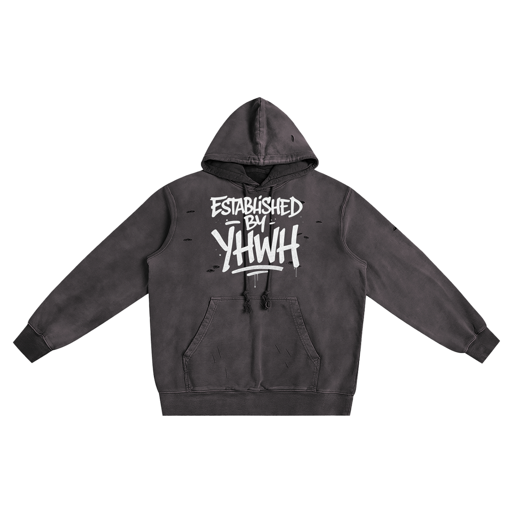 Predestined Hoodie